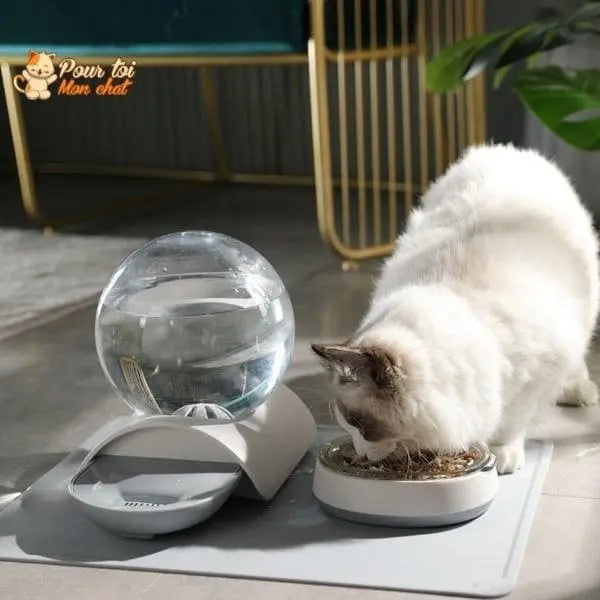 Fontaine à eau pour chat - Perfect Sphère - Pour toi Mon chat