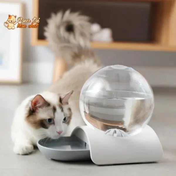 Fontaine à eau pour chat - Perfect Sphère - Pour toi Mon chat