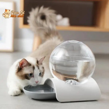 Fontaine à eau pour chat - Perfect Sphère - Pour toi Mon chat