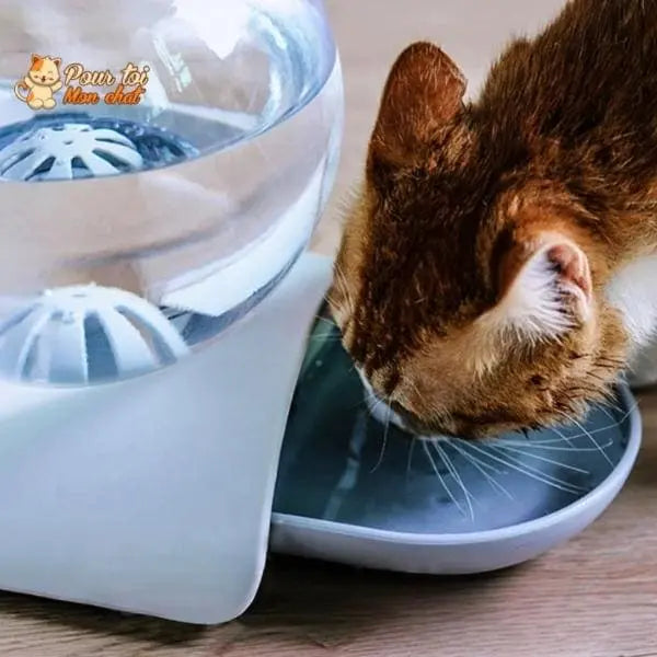 Fontaine à eau pour chat - Perfect Sphère - Pour toi Mon chat