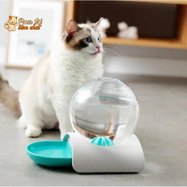 Fontaine à eau pour chat - Perfect Sphère - Pour toi Mon chat