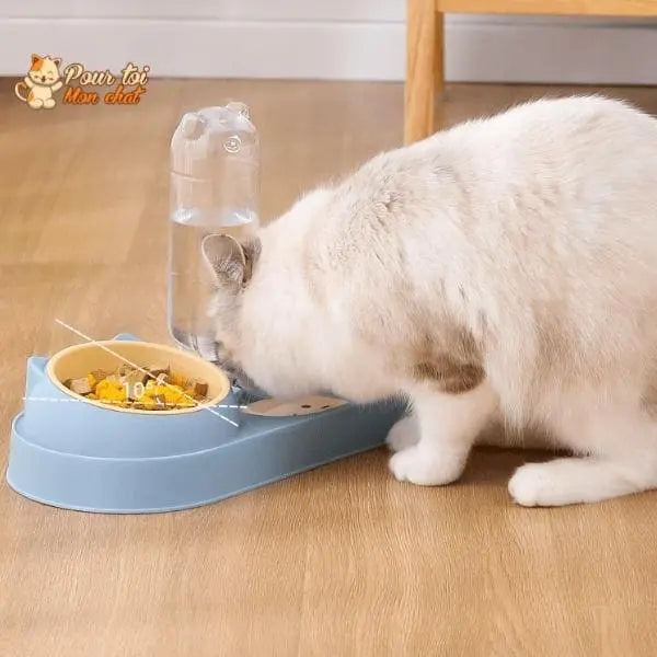 Fontaine à eau et bols à croquettes et friandises pour chat - Perfect Trio - Pour toi Mon chat