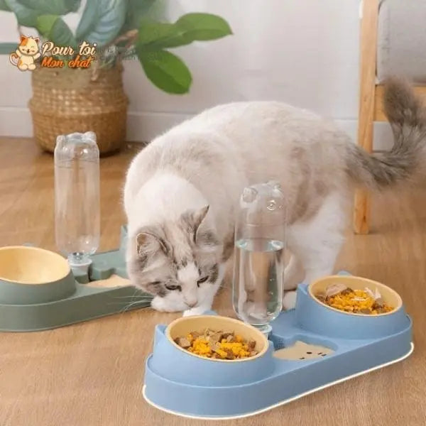 Fontaine à eau et bols à croquettes et friandises pour chat - Perfect Trio - Pour toi Mon chat