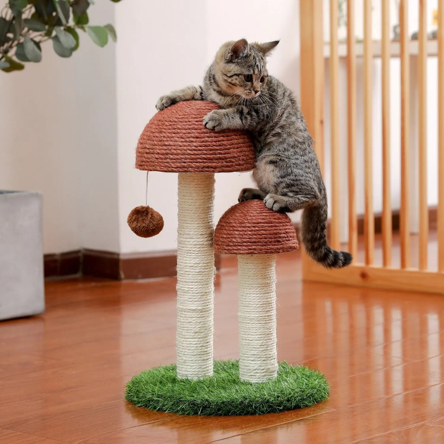 Petit arbre à chat en forme de champignon – Pour toi Mon chat
