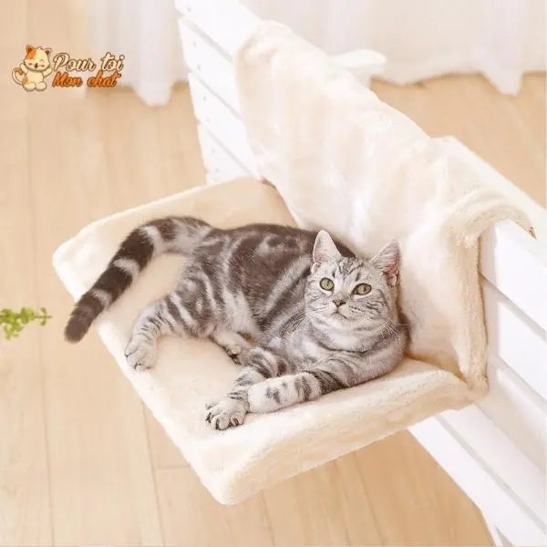 Lit doux pour fenêtre, pied de lit et radiateur - Pour chat - Poz’Hamac™ - Pour toi Mon chat