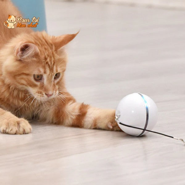 Balle Interactive pour Chat - RollChat™ - Pour toi Mon chat