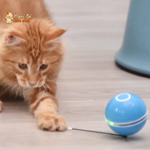 Jouet interactif pour chat - Balle de chat rechargeable par USB  intelligente - Jouet pour chat - Jouet auto-rotation - Cadeau（rose）