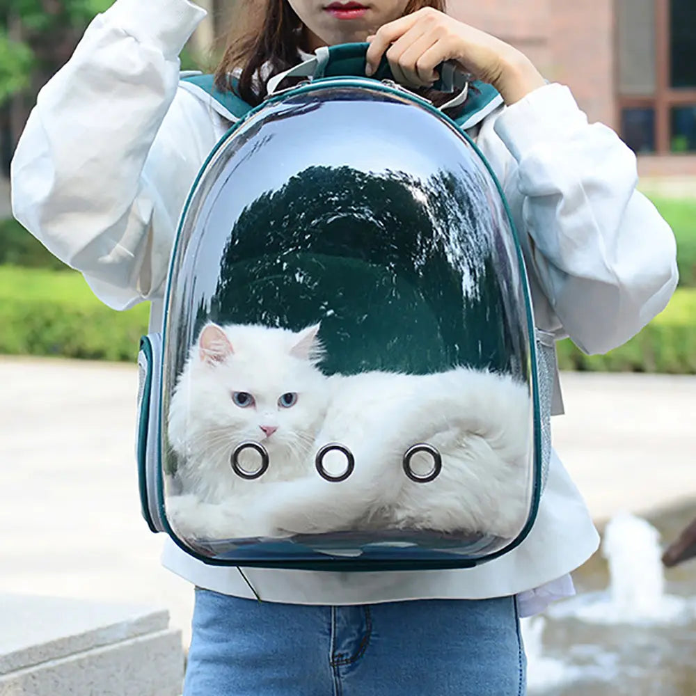 Sac à dos d'extérieur respirant pour chat Pour toi Mon chat