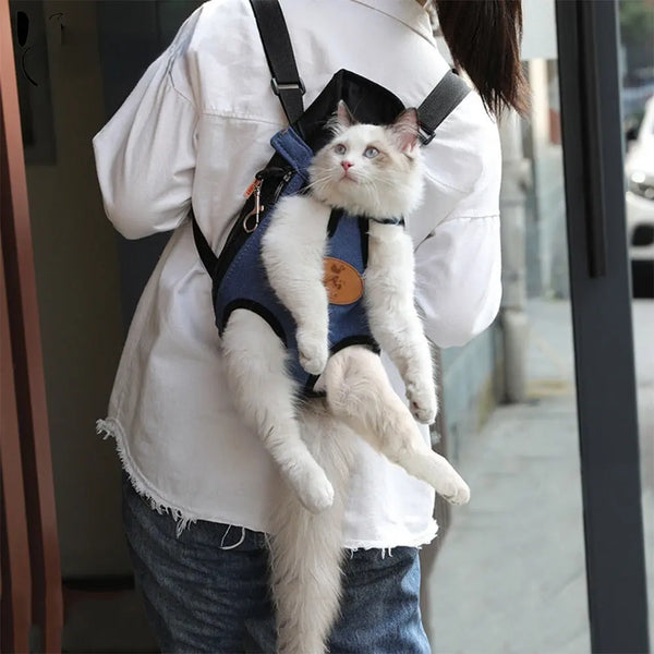 Sac à dos transport chat hublot-confort et bien être chaton-chat