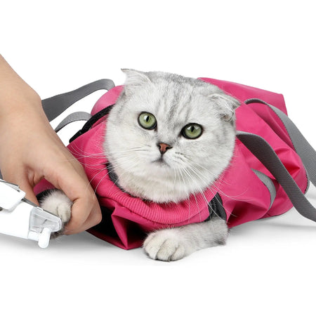 Sac de transport portable et pliable pour chat - Chatounette