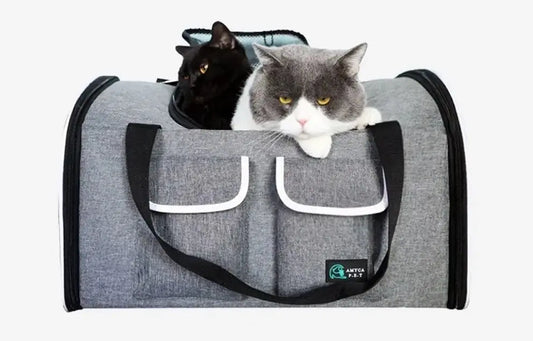 Sac de voyage portable à bandoulière pour chat Pour toi Mon chat