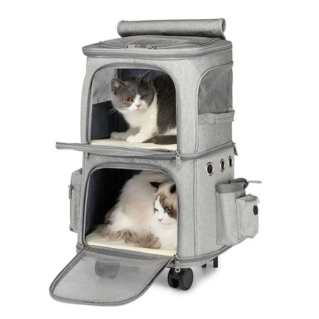 Large choix de caisse de transport, idéal pour emmener votre chat partout
