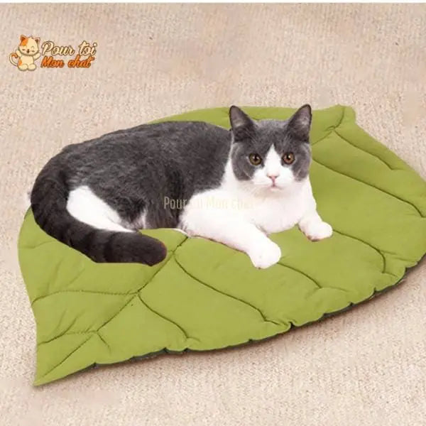 TAPIS, LIT, COUSSIN DOUX EN FORME DE FEUILLE POUR CHAT – FEUILL’À’CHAT™ - Pour toi Mon chat