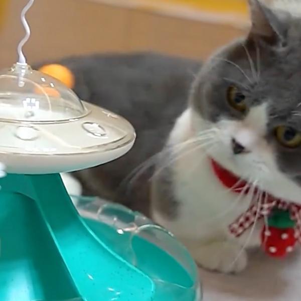 Jouet pour Chat Distributeur de Croquettes - Tournichat™ - Pour toi Mon chat