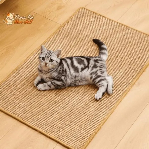 Tapis grattoir pour chats couvre meubles - Pour toi Mon chat