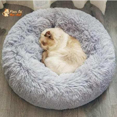 Coussin chat, maison pour chat, niche pour chat, COUSSINOO gris clair avec un chat blanc marron clair couché à l'intérieur, sol lattes bois, logo pour toi mon chat en haut à gauche
