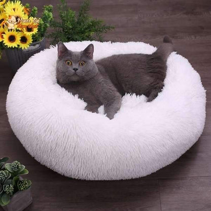 Coussin chat, maison pour chat, niche pour chat, COUSSINOO blanc avec un chat gris foncé couché à l'intérieur, sol lattes bois foncé, tournesols , logo pour toi mon chat en haut à gauche