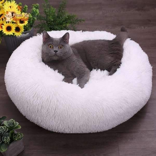 Coussin chat, maison pour chat, niche pour chat, COUSSINOO blanc avec un chat gris foncé couché à l'intérieur, sol lattes bois foncé, tournesols , logo pour toi mon chat en haut à gauche