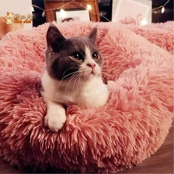 Coussin chat, maison pour chat, niche pour chat, COUSSINOO rose, tête et une patte de chat blanc et noir qui ressort, logo pour toi mon chat en haut à gauche
