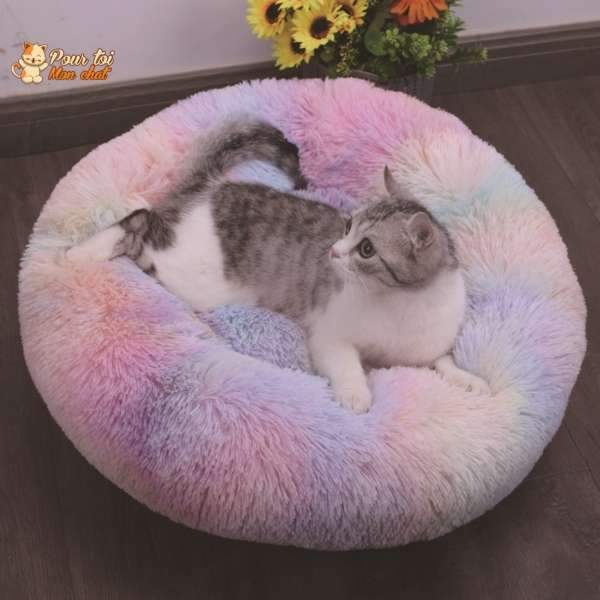 Coussin chat, maison pour chat, niche pour chat, COUSSINOO rose et bleu, chat blanc et noir allongé, logo pour toi mon chat en haut à gauche